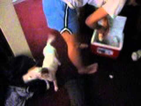 2010 03 ice fish josh big perch lake antoine 03 2010