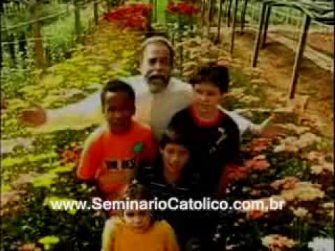 O Amor video