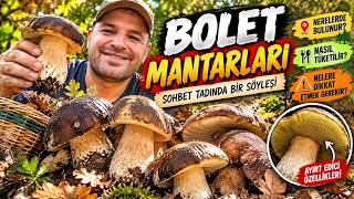 BOLET MANTARLARI HAKKINDA BİLMENİZ GEREKENLER! 🍄 Toplama, Tanıma ve Tüketim