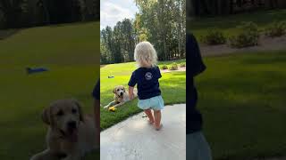 Dog jumps on boy as he runs in the grass
