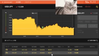 【FX】1万円から始める為替取引【BO】41