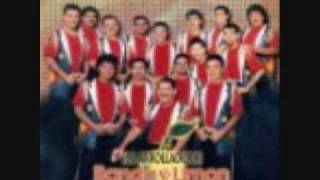 LA ARROLLADORA BANDA EL LIMON - LA MAL PAGADORA.wmv