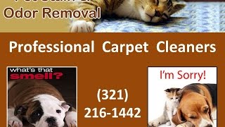 preview picture of video 'Pet Stain & Odor Removal Carpet Cleaning Apopka FL'