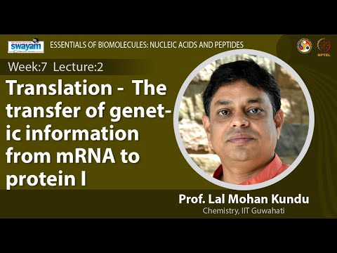 Essentials of Biomolecules Nucleic Acids and Peptides