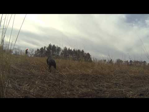 Continental Tower Shoot with a British Flair