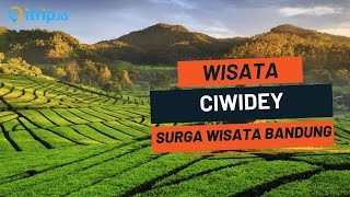 Download lagu 15 Tempat Wisata di CIWIDEY Terbaru 2026 - Wisata Ciwidey Bandung yang Paling Hits mp3 Download lagu 15 Tempat Wisata di CIWIDEY Terbaru 2026 - Wisata Ciwidey Bandung yang Paling Hits mp3