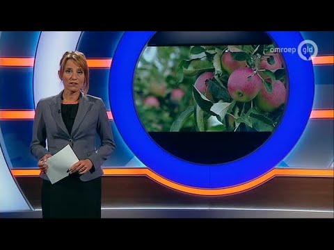 GLD Nieuws 25 augustus 2014