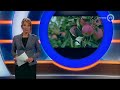 GLD Nieuws 25 augustus 2014