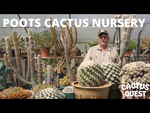 POOTS CACTUS NURSERY - 40 YEARS OF CACTUS AND SUCCULENTS
