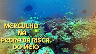 MERGULHO NO PARQUE ESTADUAL MARINHO DA PEDRA DA RISCA DO MEIO.