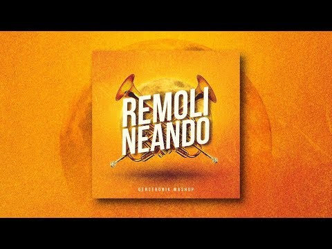 Remolineando (Gerstronik Mashup)- Miel San Marcos vs Gui Brazil