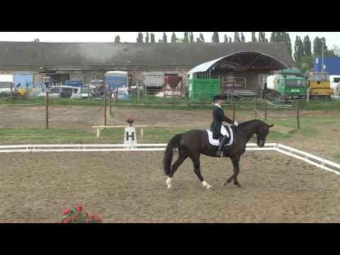 Cinkota, 2016. 05. 09. Inga Köhn in St. Georg. (díjlovaglás)