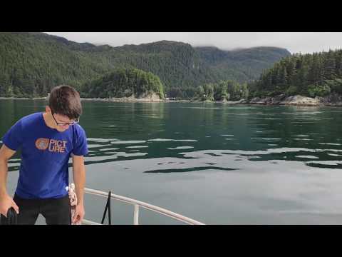 Expédition en Alaska - À bord du voilier Qilak
