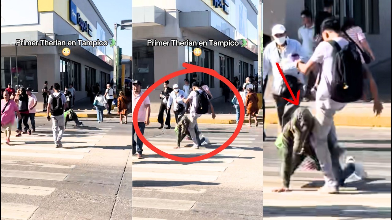 JOVEN PAT34 a UN THERIAN COCODRILO