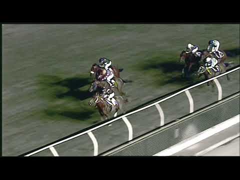 Galoppo 08/08/2020 6ª  corsa