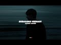 Suragana Veenavi සුරගන වීනාවී Lofi SLOWED REVERB Lofi NISHz
