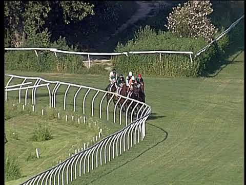 Galoppo 20/07/2019 - 1ª corsa