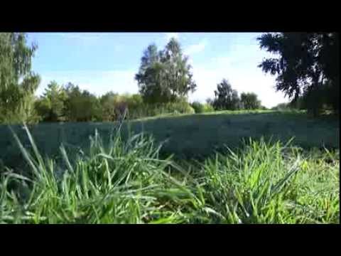 Landschaftspark im Darlingeröder Bruch wieder eröffnet