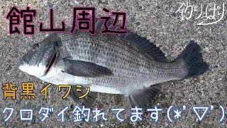 天気がいいから釣れそうな気がする！だけ？6/19【釣りっぱり】