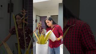 Best Fever Cooling Patch #viral #trending #shorts #youtubeshorts #ytshorts #youtube #funny #comedy 