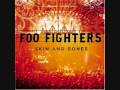 Foo Fighters-Over and Out live (Skin and Bones album)