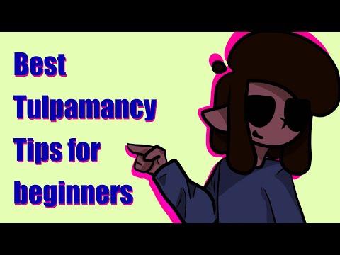 best TULPAMANCY tips for beginners