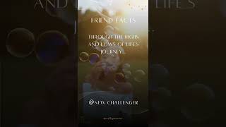 Friend Facts