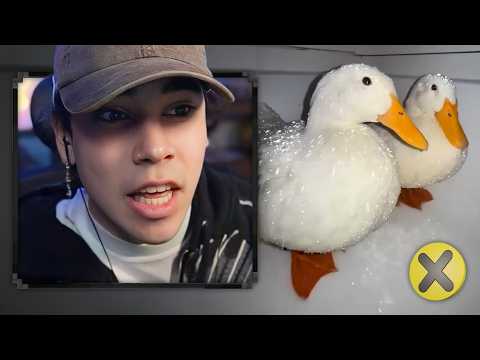 SPREEN REACCIONA A 25 COSAS QUE NO SABÍAS