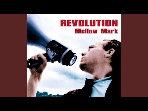 Revolution (feat. Gentleman) (Bushhouse Remix)