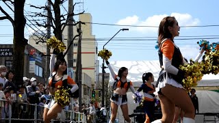 相模原市民さくらまつり2024 ノジマ相模原ライズチアリーダーズSuns②