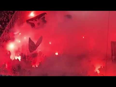 NK Osijek - Dinamo Zagreb 02.08.2024  Bad Blue Boys support and pyro show.. @navijačiDinama1 