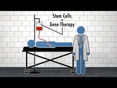 Defeating Sickle Cell Disease with Stem Cells + Gene Therapy: Stem Cells in Your Face, Episode 2