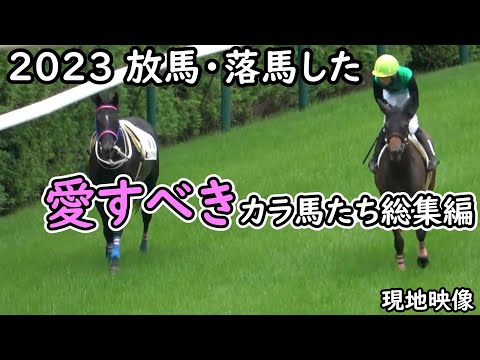 放馬