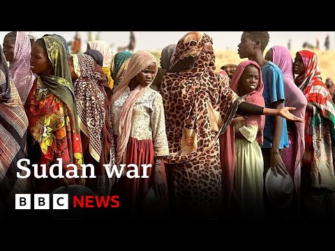 Video | UN pleads for safe passage for civilians trapped in war-hit Sudan city | BBC News