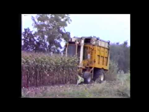 Loonw. Maertens - Ruddervoorde