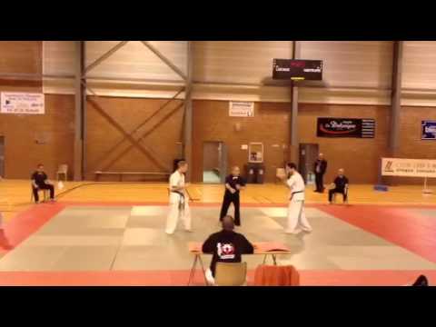 Combat de karaté à Hellemmes