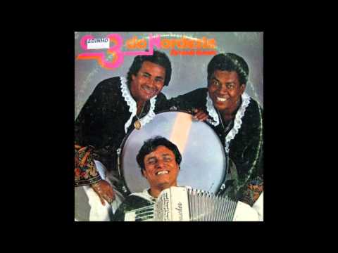 Os 3 do Nordeste - 03 Toque de fole