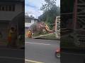 Loading An Elephant Into A Lorry
