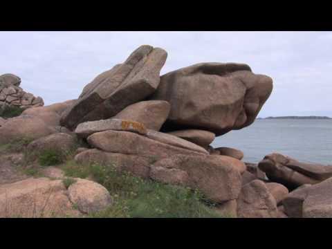 Gottes zerstreute Funken. Jüdische Mystik bei Paul Celan