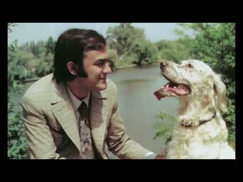 Motivul morții timpurii , la doar 44 de ani , a marelui artist Aurelian Andreescu