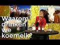 Waarom drinken we koemelk? | Waarom? Daarom! | Het Klokhuis