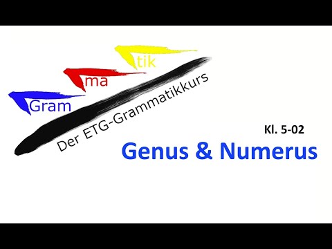 Klasse 5-02: Genus und Numerus