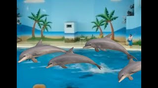 八景島シーパラダイス 愉快な海の仲間たち イルカショー