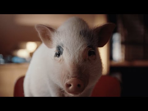 La Vie™️ - Publicité 2024 (40 secondes)