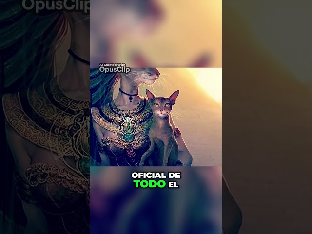 Vídeo relacionado con Papiro egipcio 30 x 40 cm de El Sagrado Sol Ritual de Akhenaton Brilla en la oscuridad - Escena egipcia antigua con diosa Bastet Imagen que brilla en la oscuridad hecha en Egipto con auténticas hojas