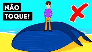 Por Que Baleias Mortas São Tão Perigosas?