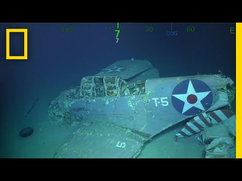 Wreckage of WWII Aircraft Carrier U.S.S. Lexington Found in Coral Sea | National Geographic