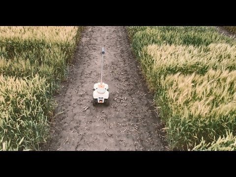 Modern agriculture: Robots and artificial intelligence in plant breeding | KWS World of Farming