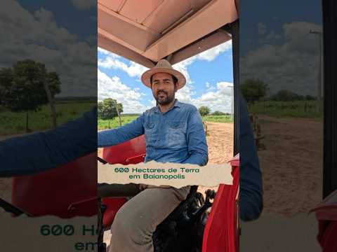 600 Hectares de Terra para negociação em Baianópolis-Ba. Leia a descrição