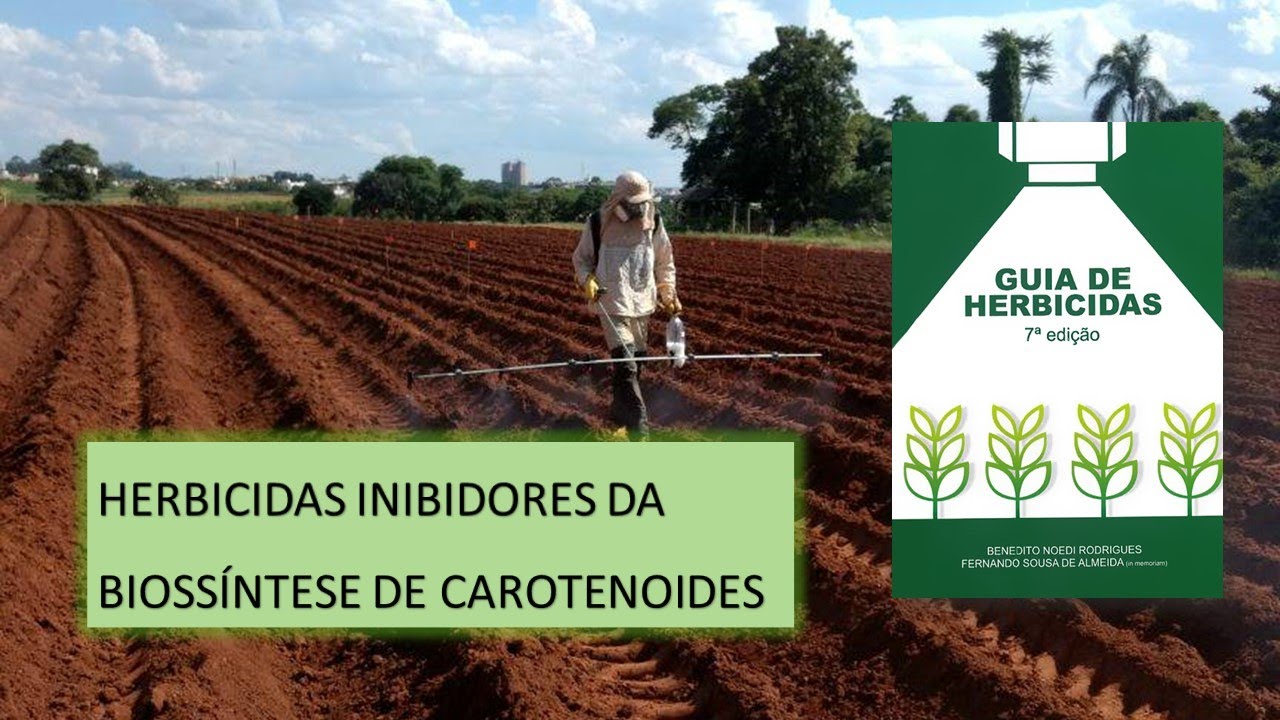 MECANISMO DE AÇÃO: BIOSSÍNTESE DE CAROTENOIDES